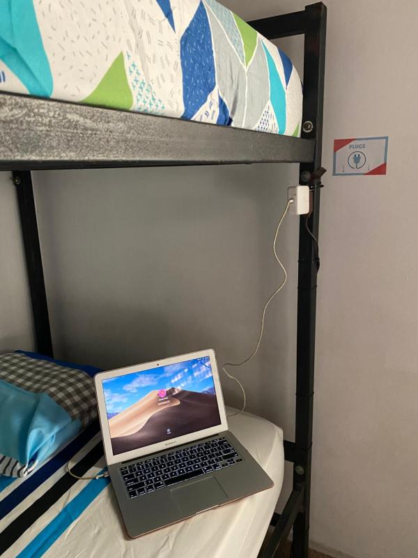 Bunk Bed in Mixed Dormitory Room image 2