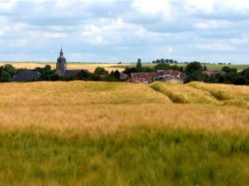 Charmant plain-pied rénové avec jardin clos et cheminée, au cœur de Rarécourt, proche sites historiques - FR-1-585-79 Images