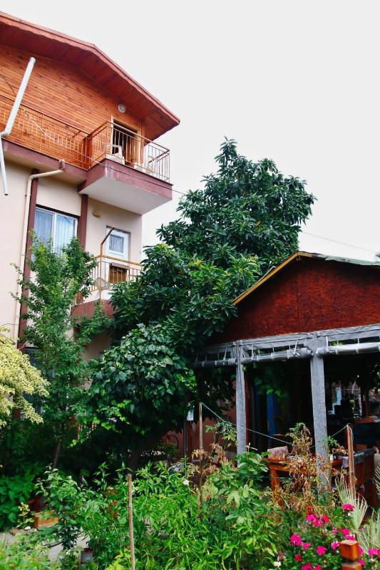 One-Bedroom House image 2
