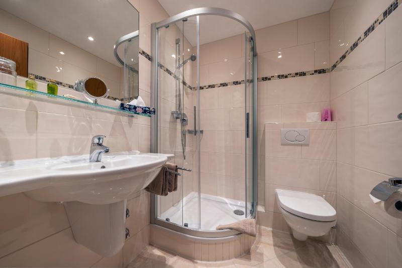 Comfort Double Room with Terrace facing Garden (No Lake View) image 3