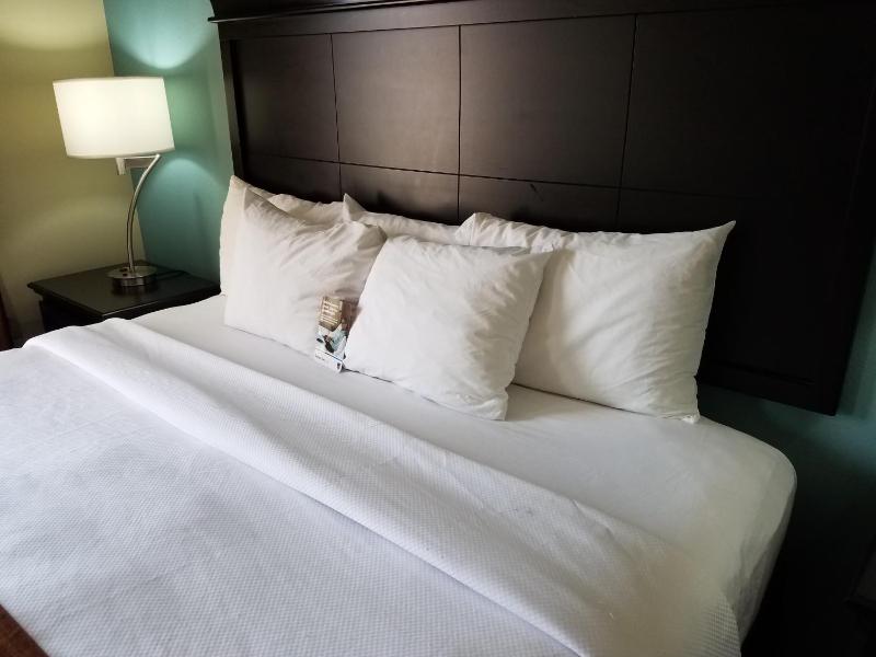 King Suite with Sofa Bed - Non Smoking image 2