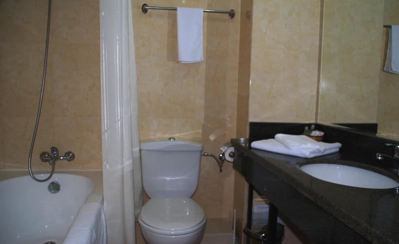One-Bedroom Suite image 1