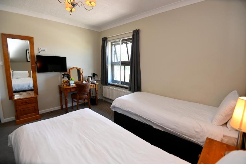 Standard Twin Room image 2