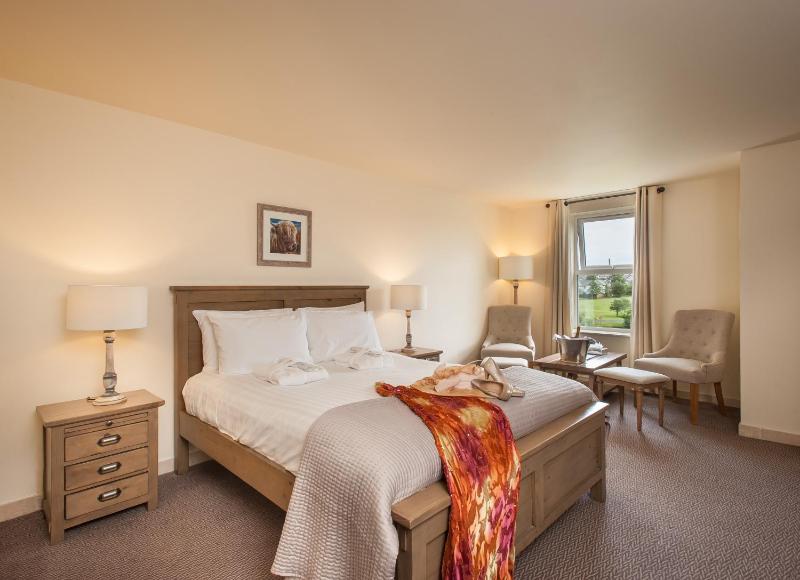 Executive Double Room image 4