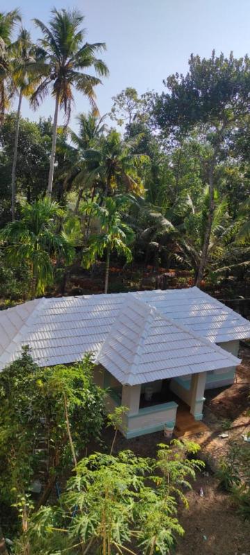 Baba Luru's - image 4