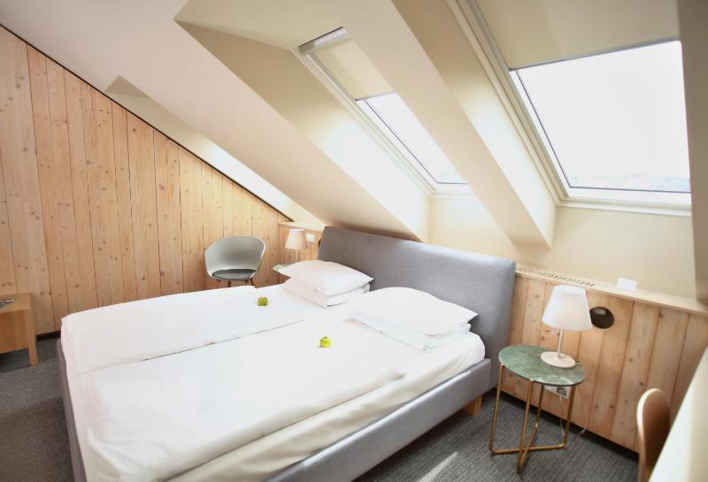 Exclusive Double Room image 4