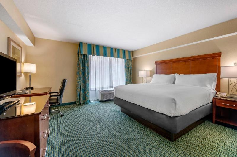 King Suite with One Bunk Bed image 2
