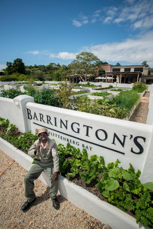 Barrington's - image 8