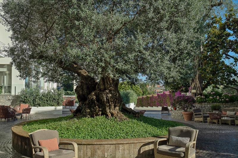 Hotel Conca Park - image 33