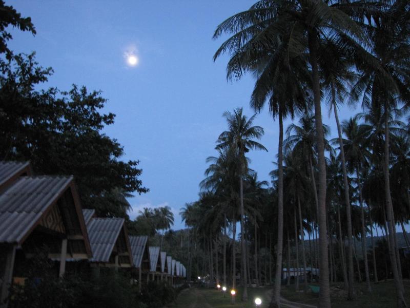 Green Chilli Bungalows - image 5