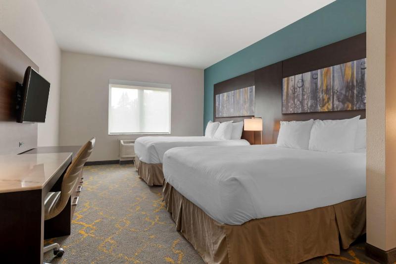 Queen Suite with Bath Tub - Mobility Accessible image 4