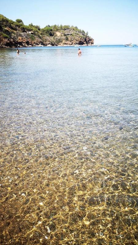 casina mare sulla spiaggia - image 31