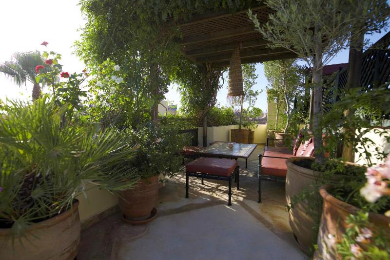 Riad Lyla - image 16
