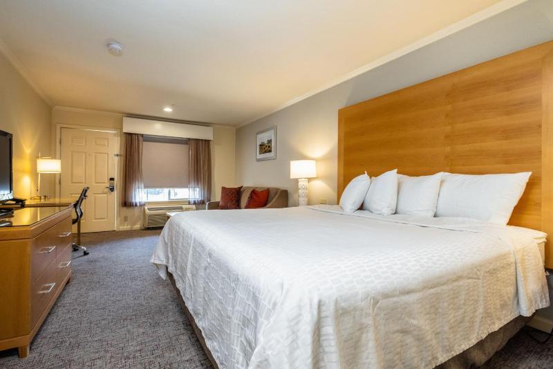 King Room - Non-Smoking image 4