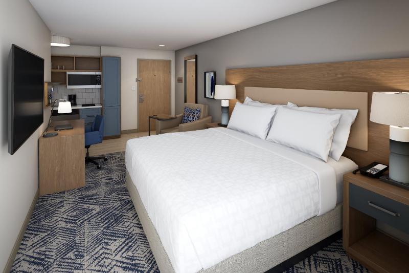 King Studio Suite image 3