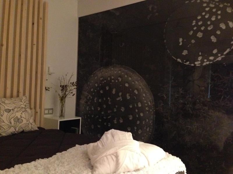 Deluxe Double or Twin Room image 4