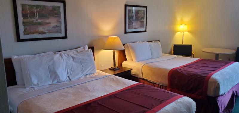 Deluxe Double Room image 3