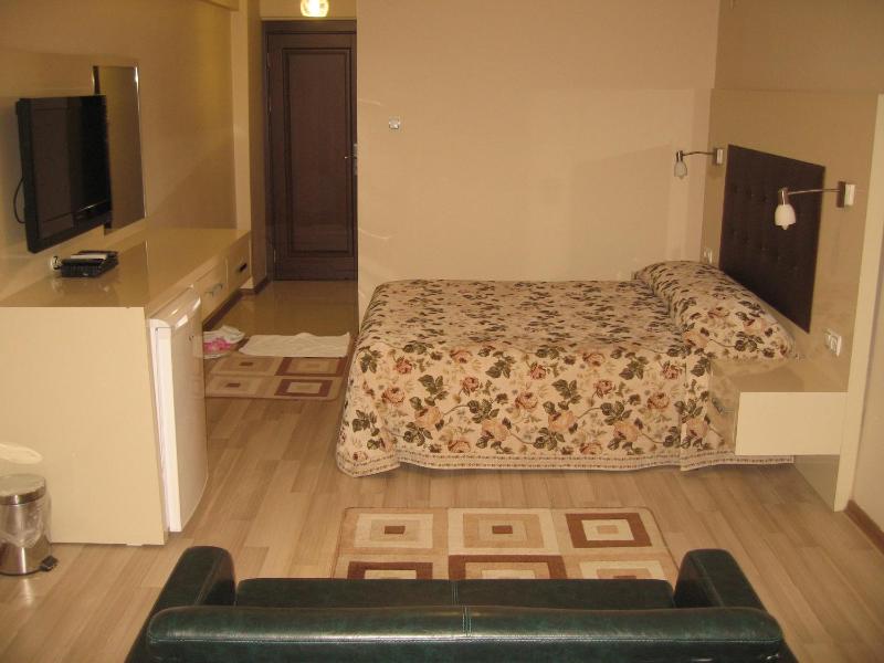 Standard Double or Twin Room image 2