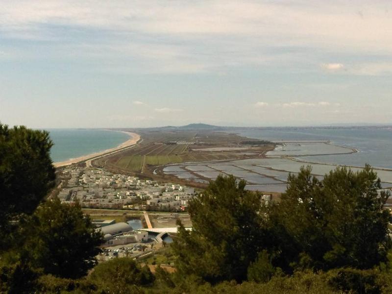 Rez de jardin 38m² à Sète avec vue mer et parking privé - FR-1-472A-129 - image 8