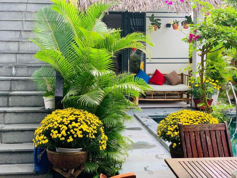 An Bang Star Homestay - image 2