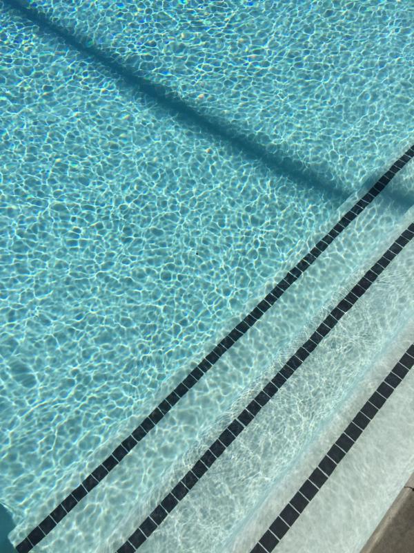 The Palm Springs Hotel - image 29