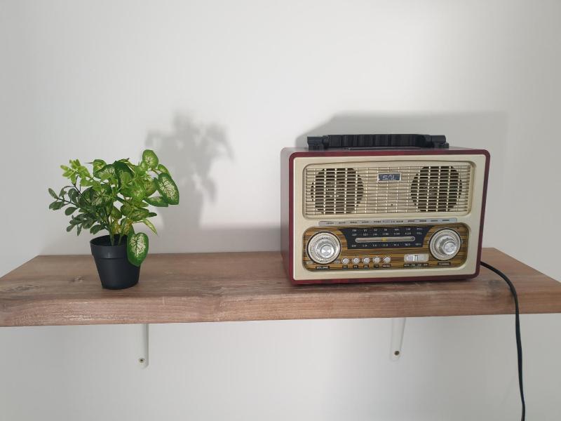 Apartman Retro with heated pool and gym for 8 - image 11