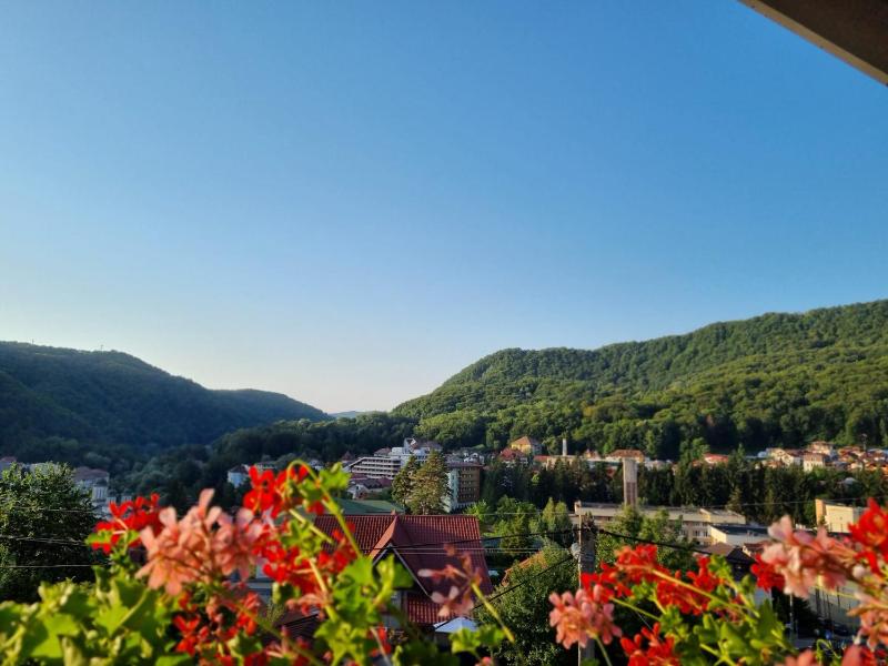 Double Room with Mountain View image 3