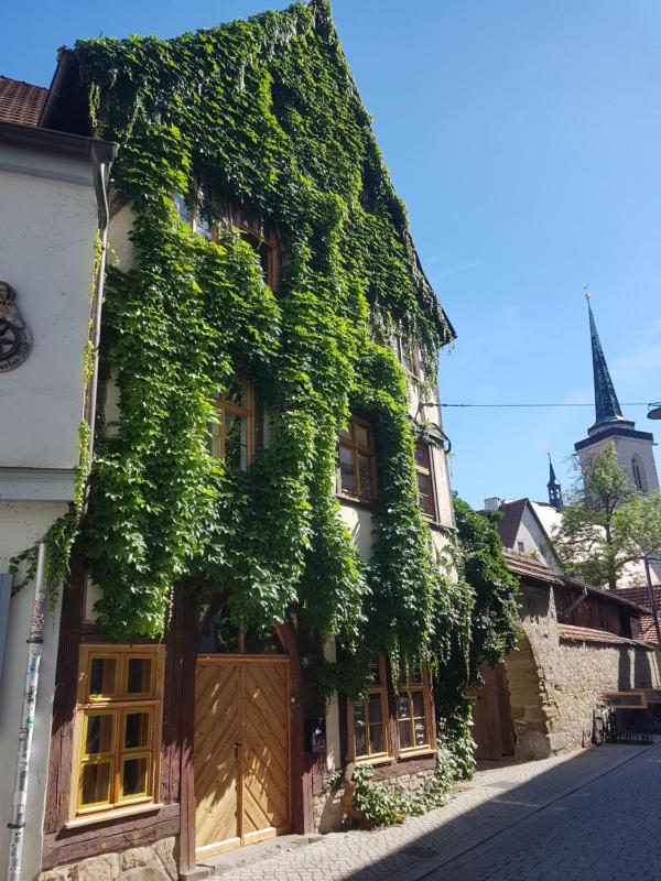 Ferienwohnung am Erfurter Dom - image 13
