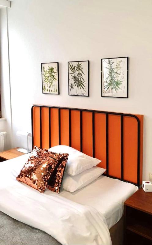 Comfort Single Room image 2