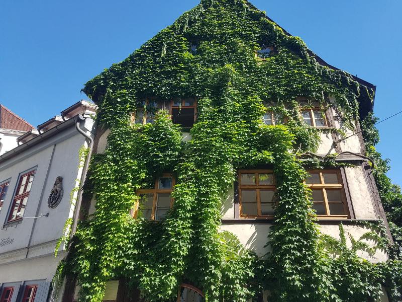 Ferienwohnung am Erfurter Dom - image 11