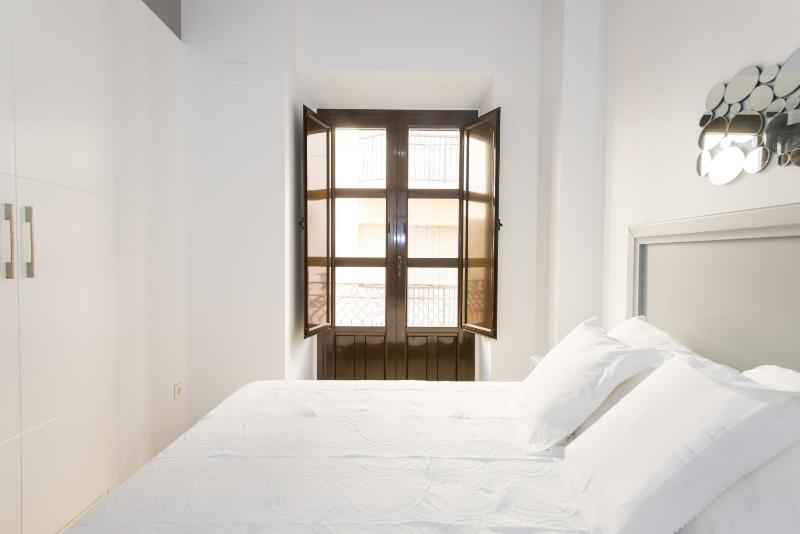 Apartamentos Plaza Nueva - image 5