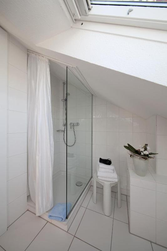 Standard One-Bedroom Apartment - Attic image 3