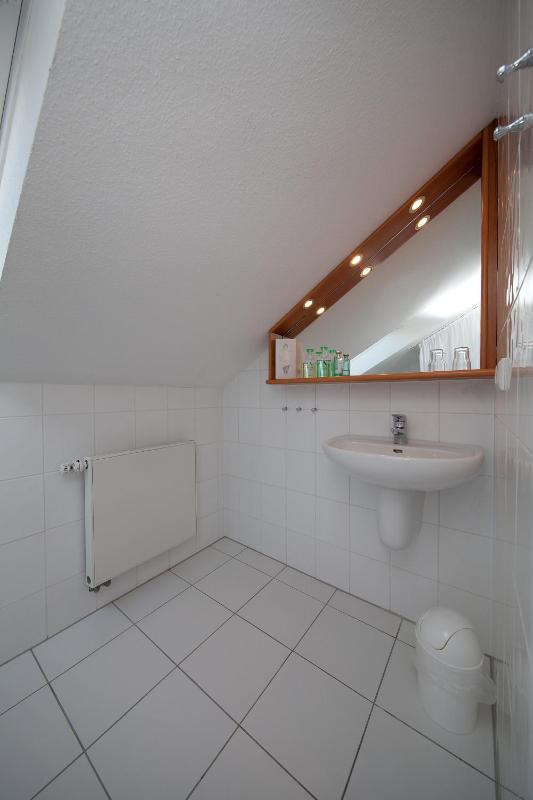 Standard One-Bedroom Apartment - Attic image 4