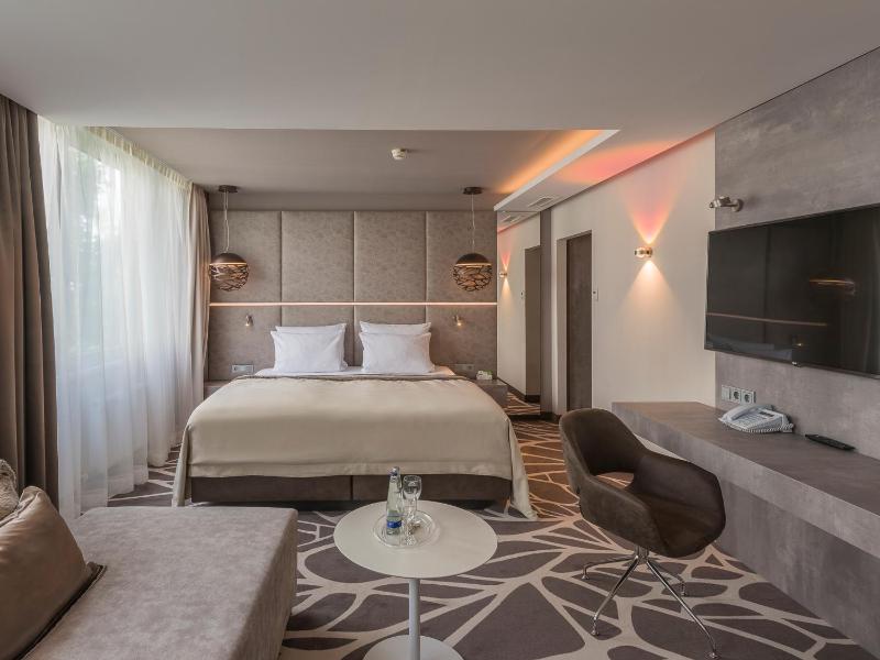 Premium King Room image 1