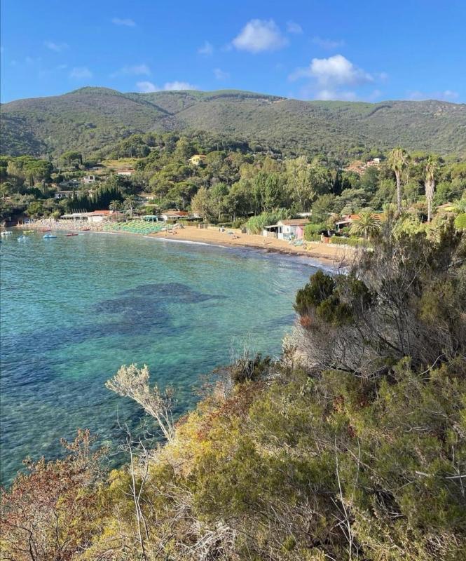 casina mare sulla spiaggia - image 13
