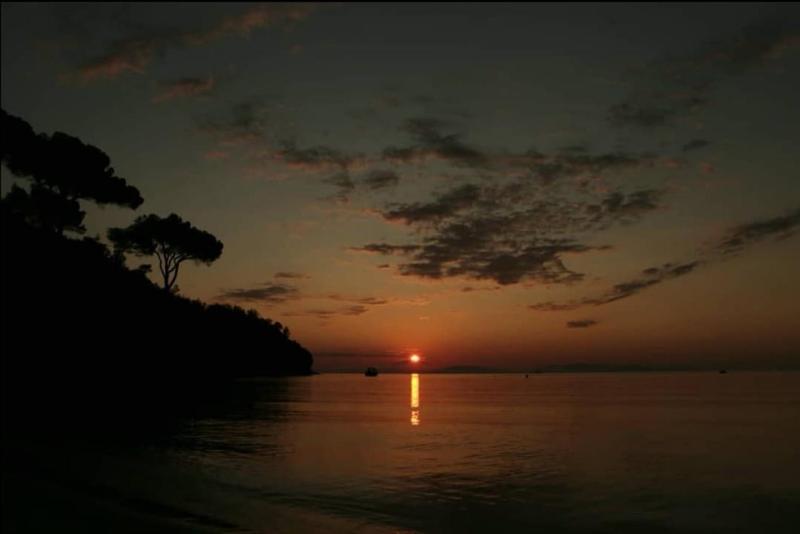 casina mare sulla spiaggia - image 14