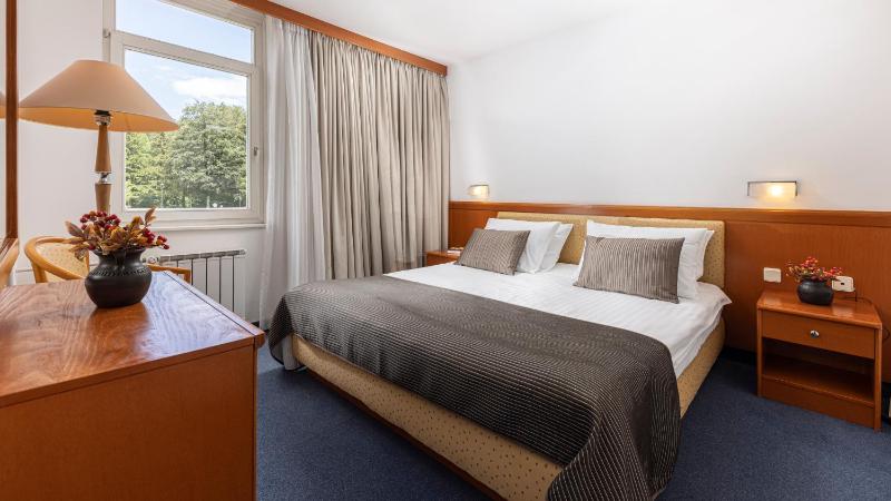 Junior Suite image 1