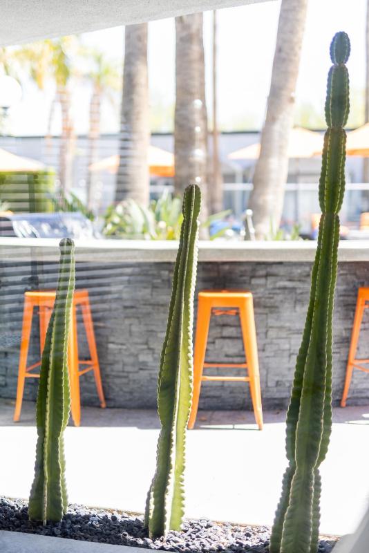 The Palm Springs Hotel - image 42