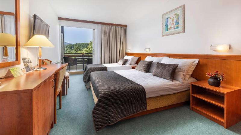 Superior Double Room with Extra bed, Lake side image 1
