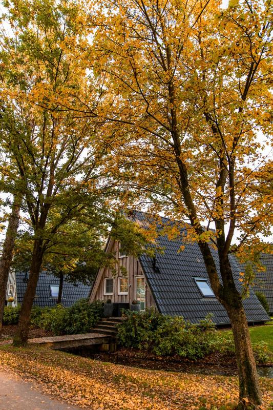 Holiday Home image 3