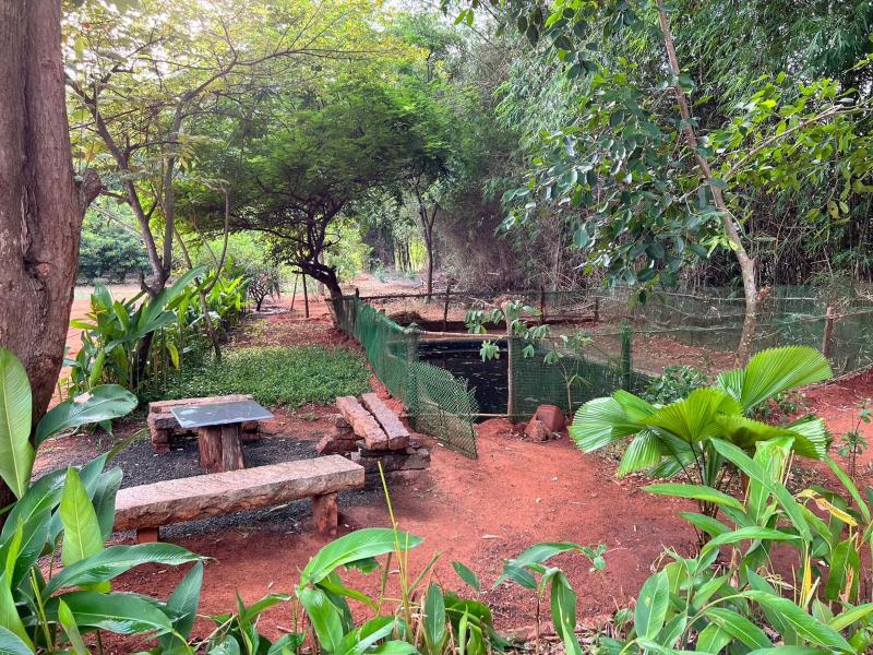 bougan villa - image 8