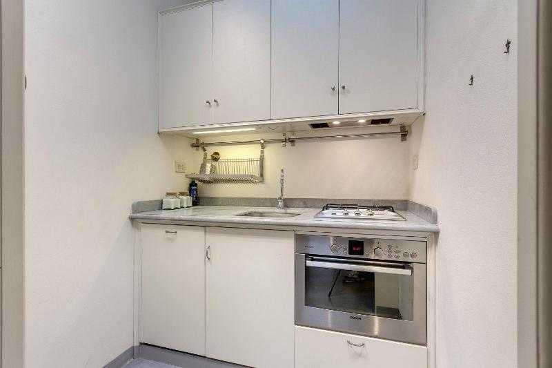 Class One-Bedroom Apartment image 4