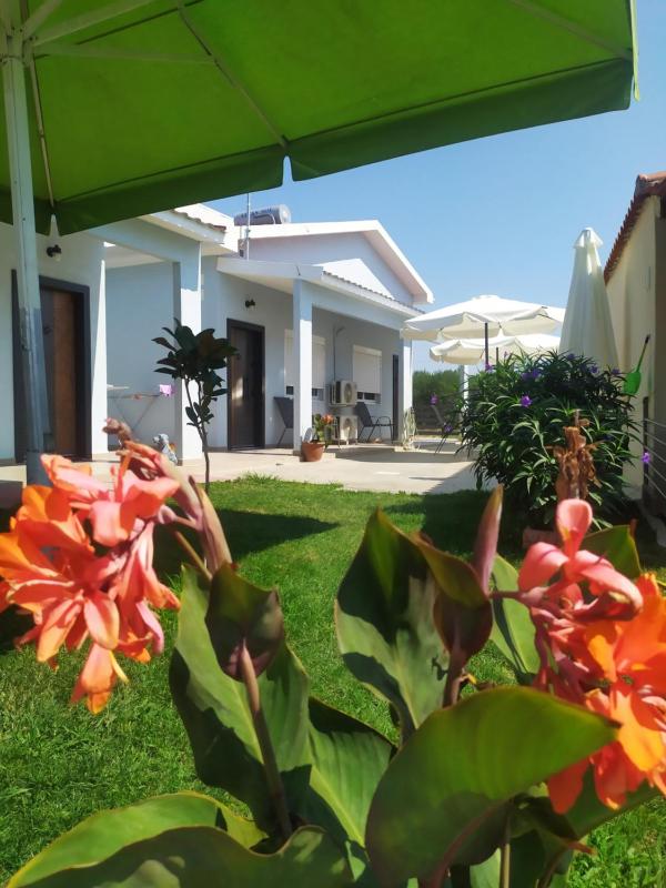 EFI APARTMENTS Images