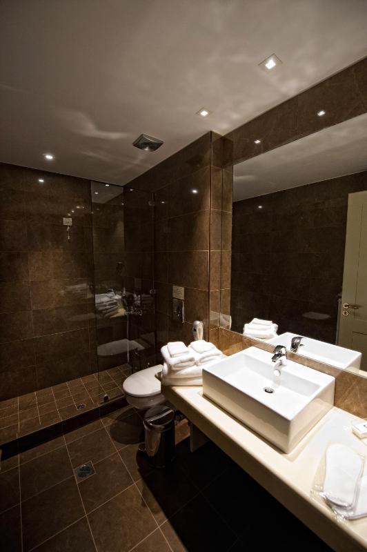 Junior Suite with Lake View image 2