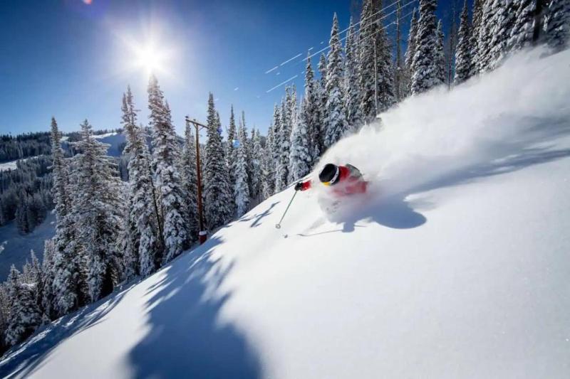 HOLT - Billionaire Mountain - image 7
