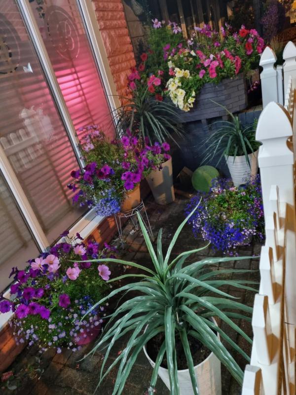 Tiffy's Place - image 24