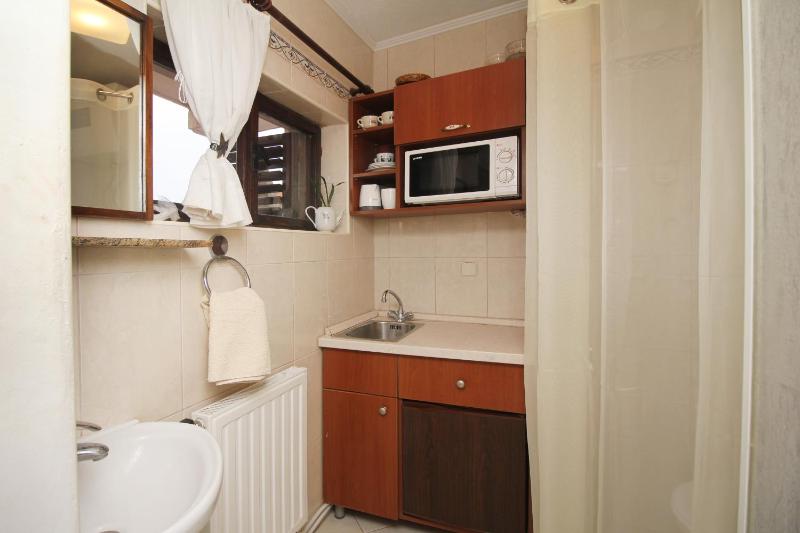 Studio with Terrace image 4