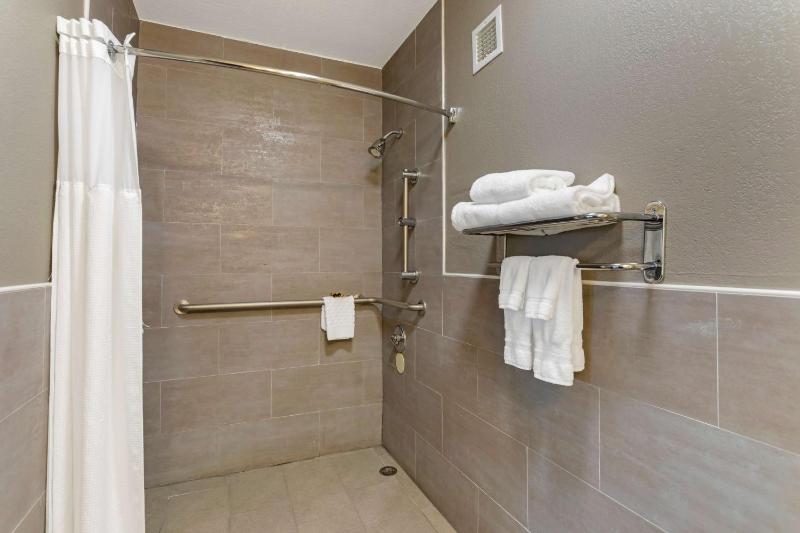 King Room with Roll-In Shower - Mobility Accessible/First Floor image 2
