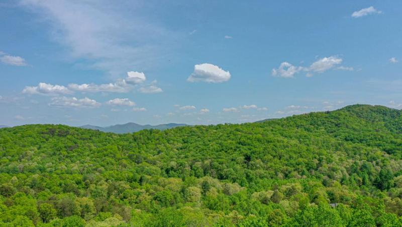 Endless Echo- Dog Friendly Close to Activities Party Porch! - image 11