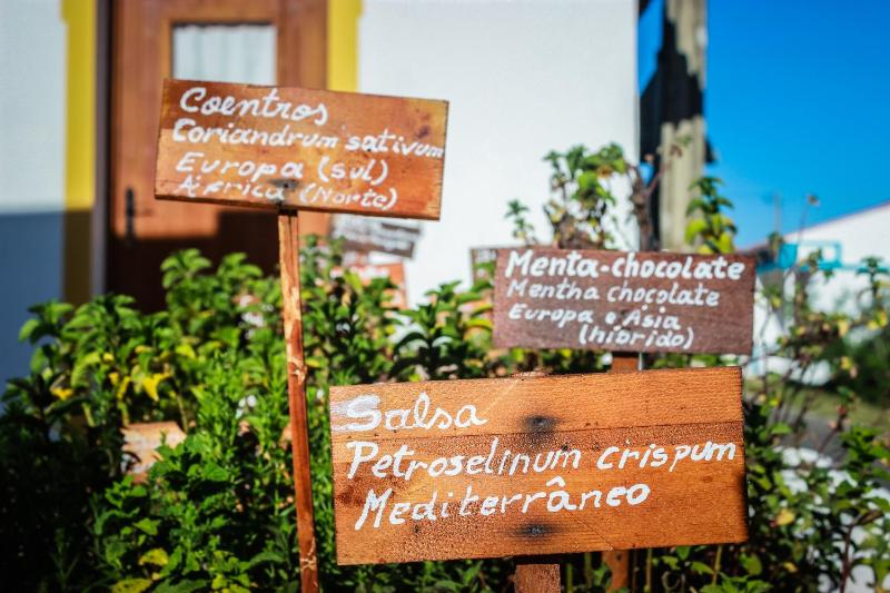 Junior Suite image 3